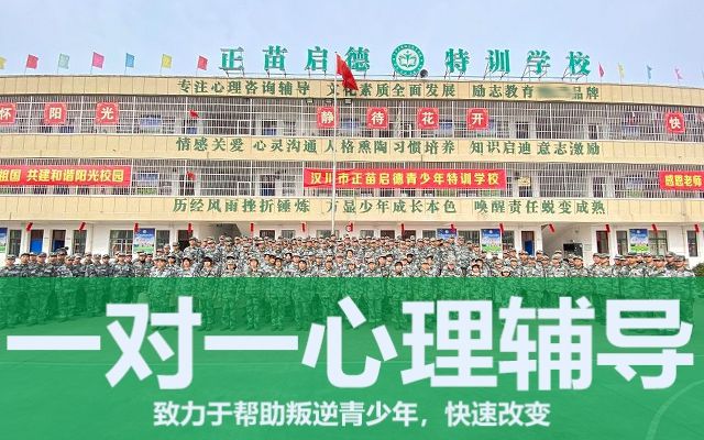 有没有问题少年全封闭学校(问题少年全封闭学校)