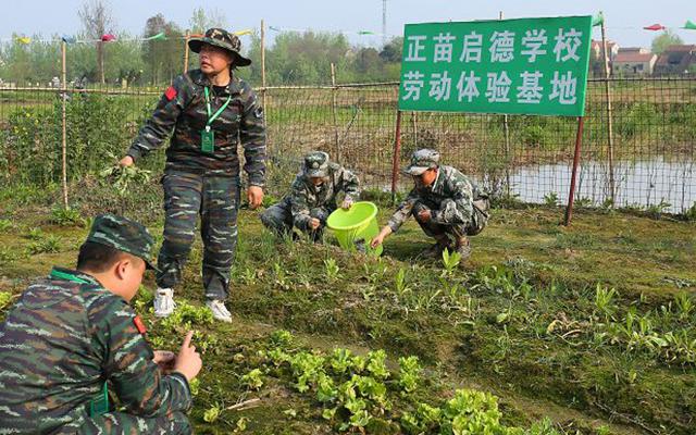 湖北宜昌叛逆孩子改造基地_6月最新(今日／强推)