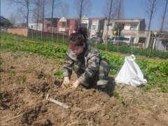 正苗启德农耕新体验，种菜择菜勤动手