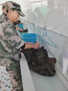 【特训学校心理教育】-如何解决孩子成长过程中