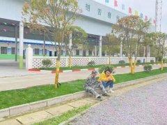   正苗启德特训学校：谈谈心理辅导的重要性