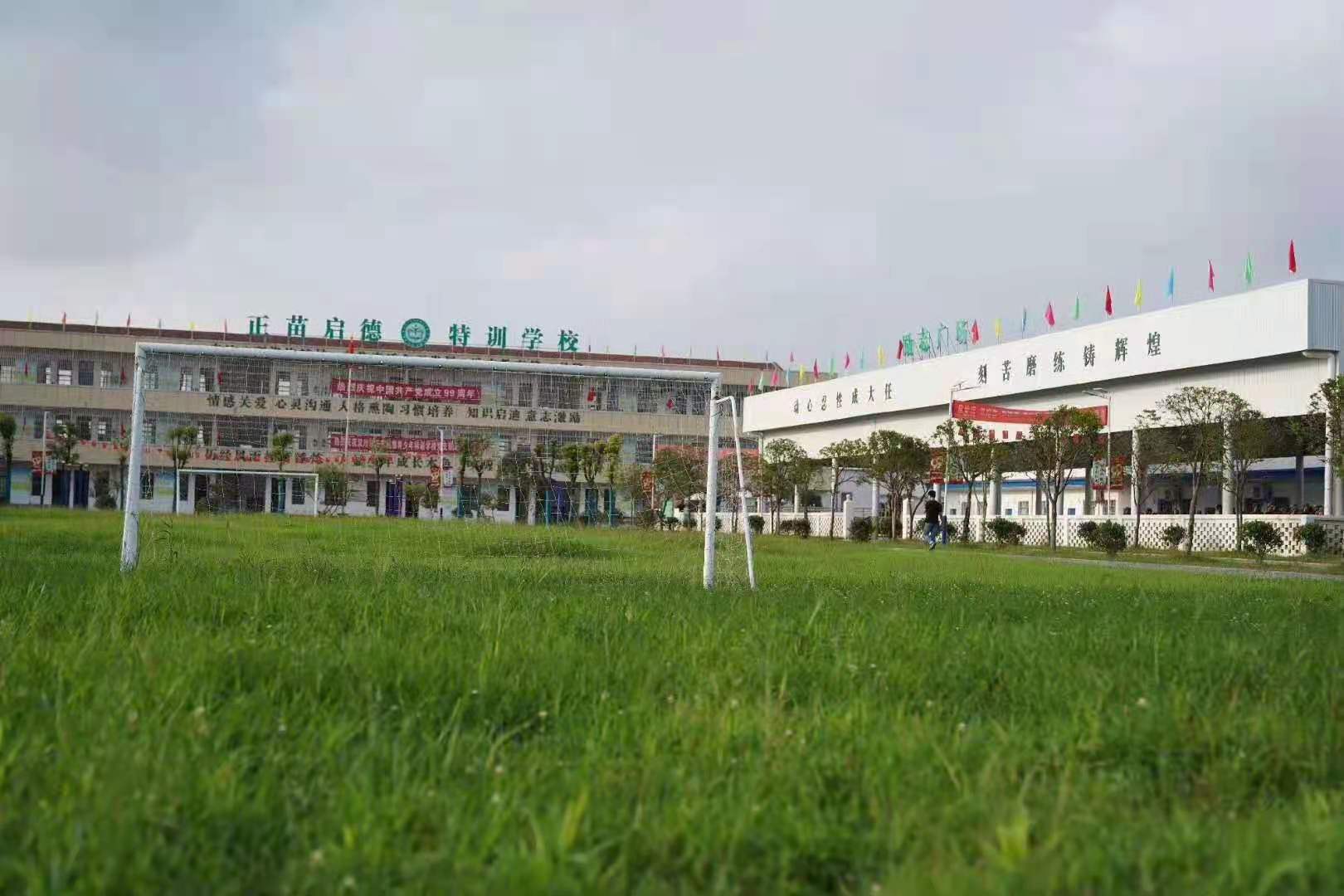 综合教育