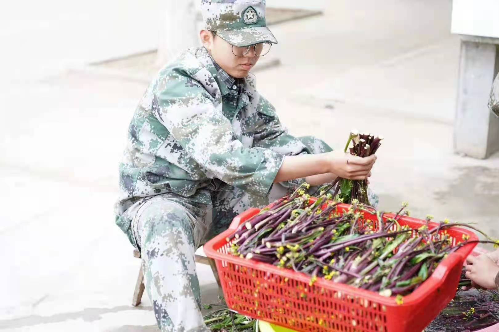 综合教育